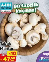 TABAK MANTAR ADET